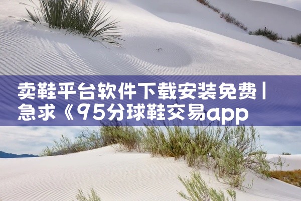 卖鞋平台软件下载安装免费