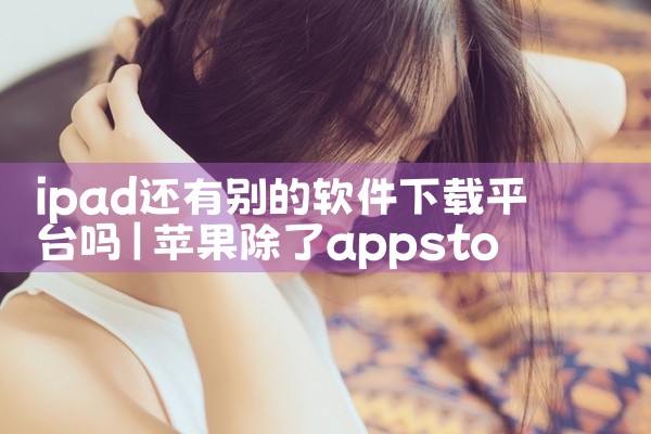ipad还有别的软件下载平台吗
