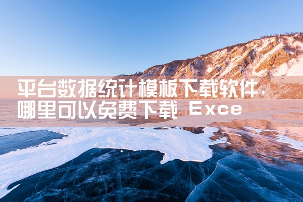 平台数据统计模板下载软件
