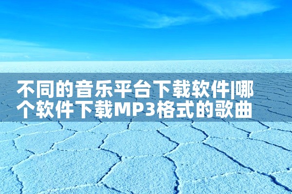 不同的音乐平台下载软件