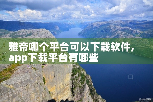 雅帝哪个平台可以下载软件
