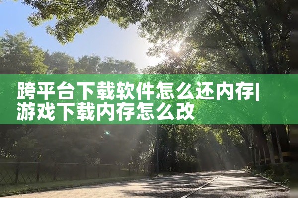 跨平台下载软件怎么还内存