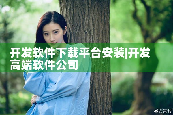 开发软件下载平台安装
