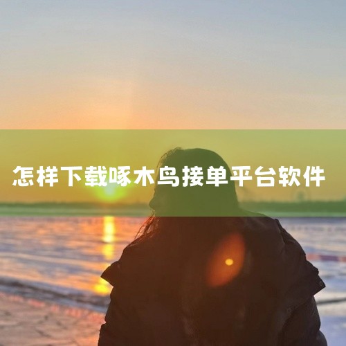 啄木鸟维修师傅端App是啄木鸟维修平台师傅专用端,支持订单接收、完工上报和 earnings 管理。点击链接获取网盘资源:\x0a https://pan.baidu.com/s/1KIPSq9fET|