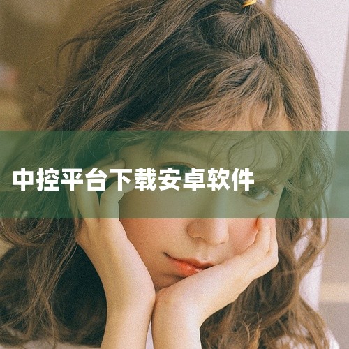 对于安卓系统中控显示屏，尽管其具备与手机相似的下载功能，但下载软件需谨慎。因为软件与车辆程序的不匹配可能会干扰车辆的正常运行。因此，在下载软件前，需仔细考虑其可能对车辆造成的影响。针对原装中控系统，一|