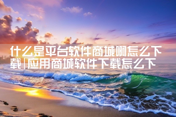 什么是平台软件商城啊怎么下载